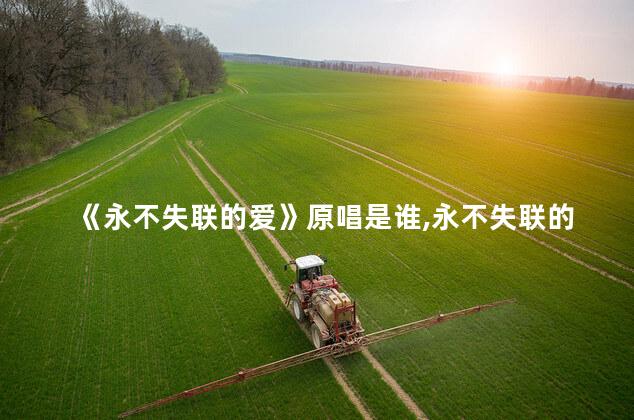 《永不失联的爱》原唱是谁,永不失联的爱 单依纯